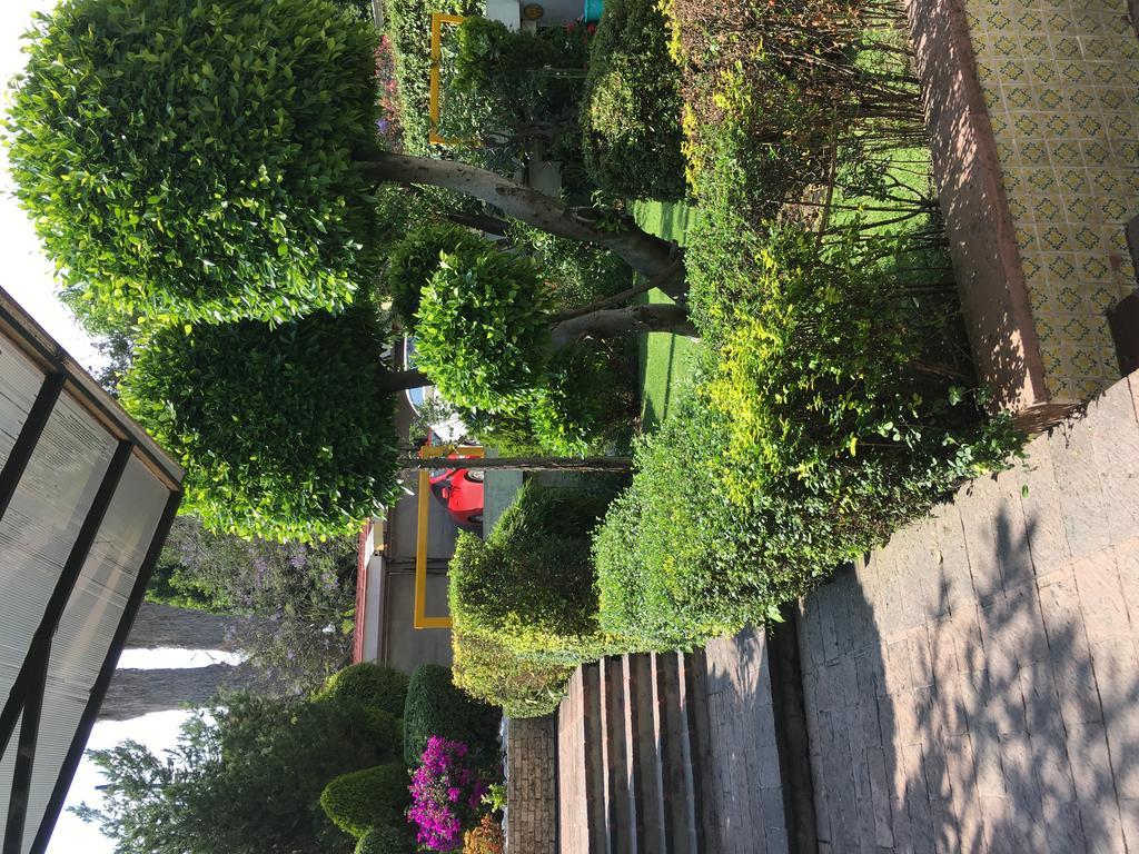 Grupo Kings Suites - Bosque De Duraznos 72 Mexico City Exteriör bild